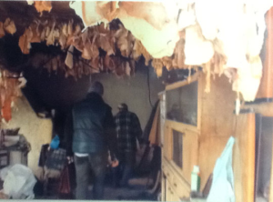 Disabile in condizioni bestiali privato di beni mobili e immobili